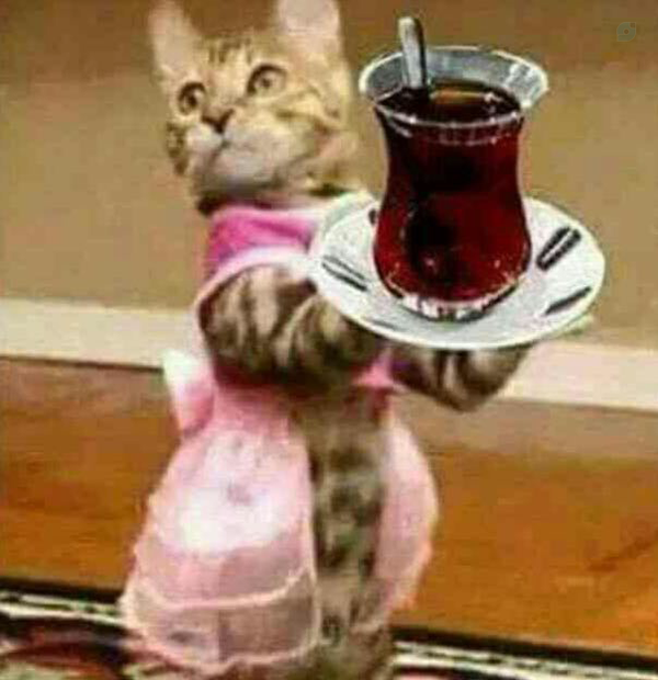 بفرمایید چای!