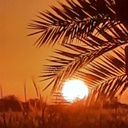 Profile picture of ‌مهدی خیاطی‌