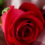 Profile picture of ‌Samieadil‌