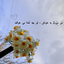 Profile picture of ‌Niloofar‌