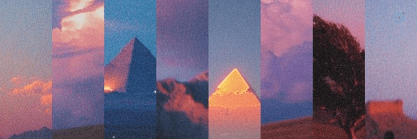 ‌Narges Malekmakan‌'s header picture
