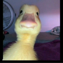 Profile picture of ‌‌hani‌