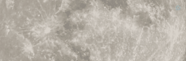 ‌فـ🌱ـاء‌'s header picture