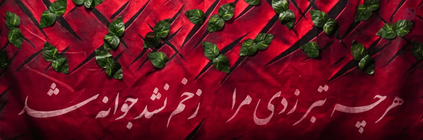 ‌msme315‌'s header picture