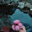 Profile picture of ‌Sed Sadra‌