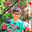Profile picture of ‌سید حسینی‌