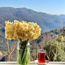 Profile picture of ‌مرضیه‌