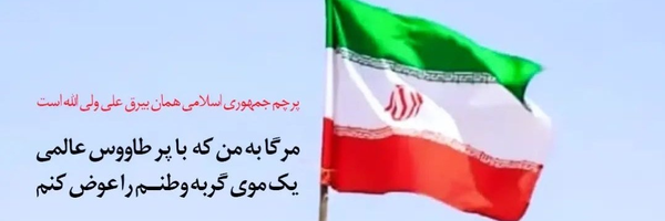 ‌علیرا‌'s header picture