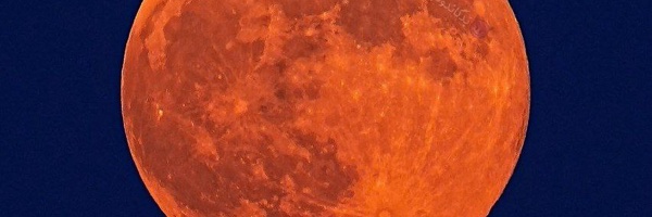 ‌آقای قاضی‌'s header picture
