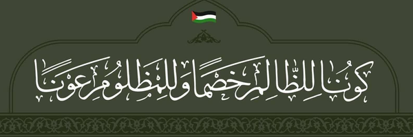 ‌سیدمحمد افشین‌فر‌'s header picture