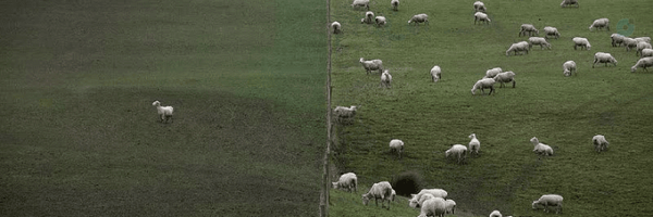 ‌مَهلاٰخانوم؛‌'s header picture