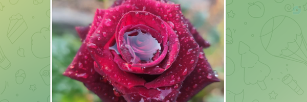 ‌هادی وحیدی‌'s header picture