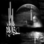 Profile picture of ‌Seyed Hessam Tehrani‌
