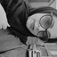Profile picture of ‌نرگس‌