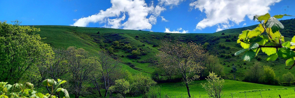 ‌Masoud Seifi‌'s header picture