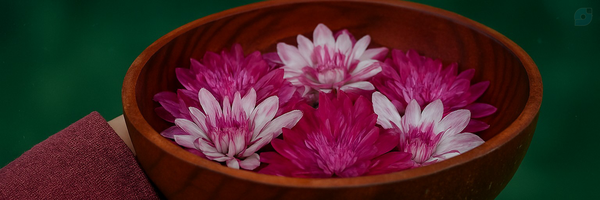 ‌فاطمه امیری‌'s header picture