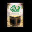 Profile picture of ‌سید رضا عادلی‌