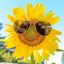 Profile picture of ‌Za_sunflower‌