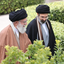 Profile picture of ‌هادی راه چمنی‌
