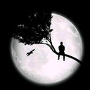 Profile picture of ‌Erfan Khodaee‌