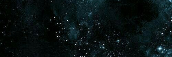 ‌Mahshid‌'s header picture
