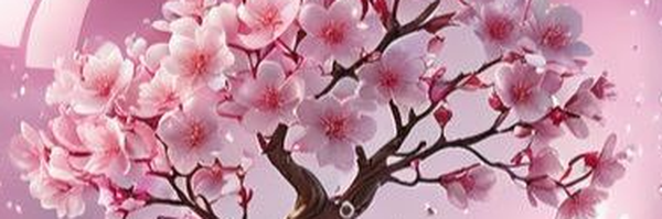 ‌گل خطمی‌'s header picture