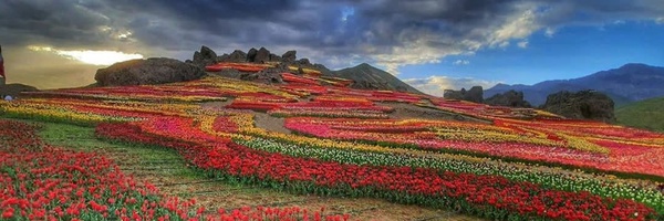 ‌محرم تقوی‌'s header picture
