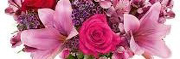 ‌Rad Rafed‌'s header picture