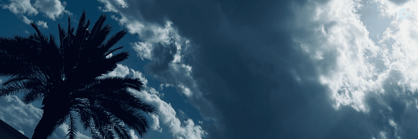 ‌Alireza‌'s header picture