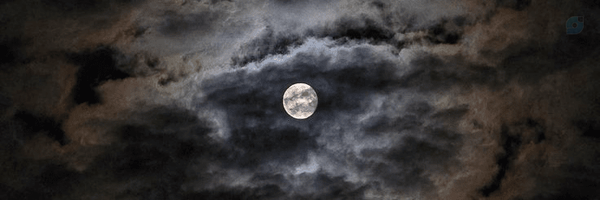 ‌[ مُحَرَّق ]‌'s header picture