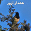 Profile picture of ‌Terror Alarm‌