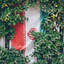 Profile picture of ‌جان فدای ایران🇮🇷‌