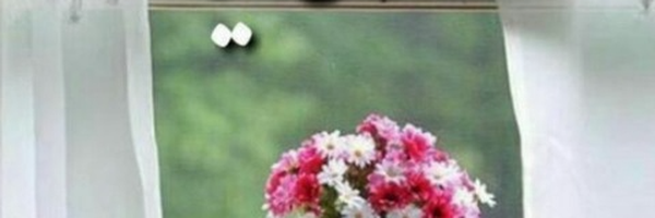 ‌شرط شهید شدن شهید بودن است یا زهرا‌'s header picture
