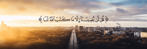 ‌هارمونیکــا‌'s header picture