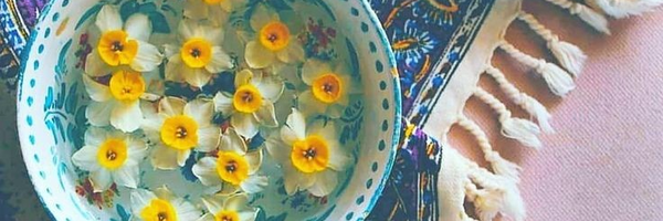 ‌معروفانه‌'s header picture