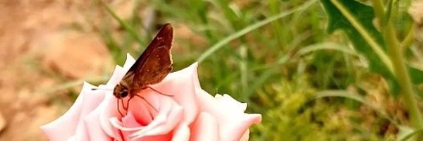 ‌م.حیدری‌'s header picture