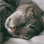 Profile picture of ‌خوابم‌