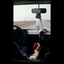 Profile picture of ‌مجنونـ‌