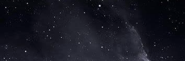 ‌زهرا زارعی‌'s header picture