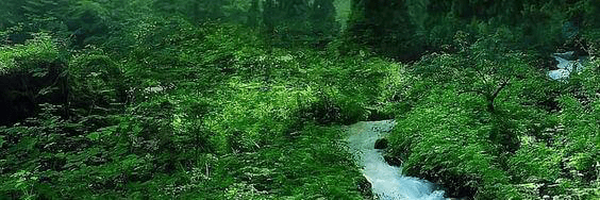 ‌محمد‌'s header picture
