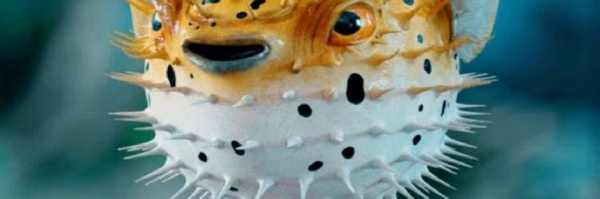 ‌KADYJAN‌'s header picture