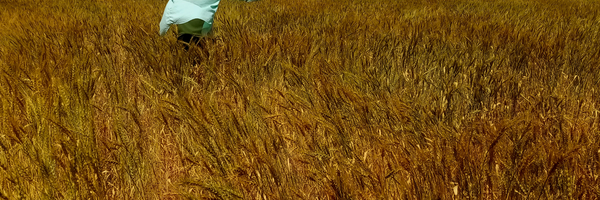 ‌محسن عباسی‌'s header picture