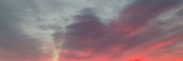 ‌محمّد‌'s header picture