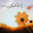 Profile picture of ‌امیر علی‌