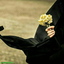 Profile picture of ‌atefe azhirak‌