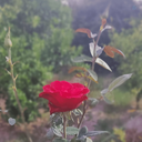 Profile picture of ‌فن پیج خانم دکتر زهرا عزیزیان‌