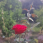Profile picture of ‌فن پیج خانم دکتر زهرا عزیزیان‌