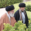 Profile picture of ‌محمد دشتی حومدکی‌