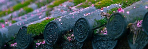 ‌𝙎𝙪𝙣𝙙𝙖𝙮•°‌'s header picture