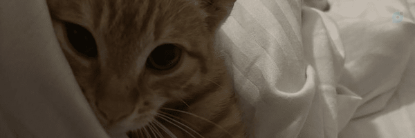 ‌مانلی🎀‌'s header picture